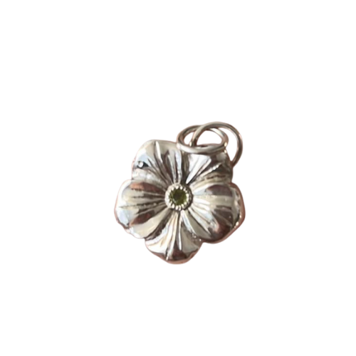 25 Colgante De Plata Joyas